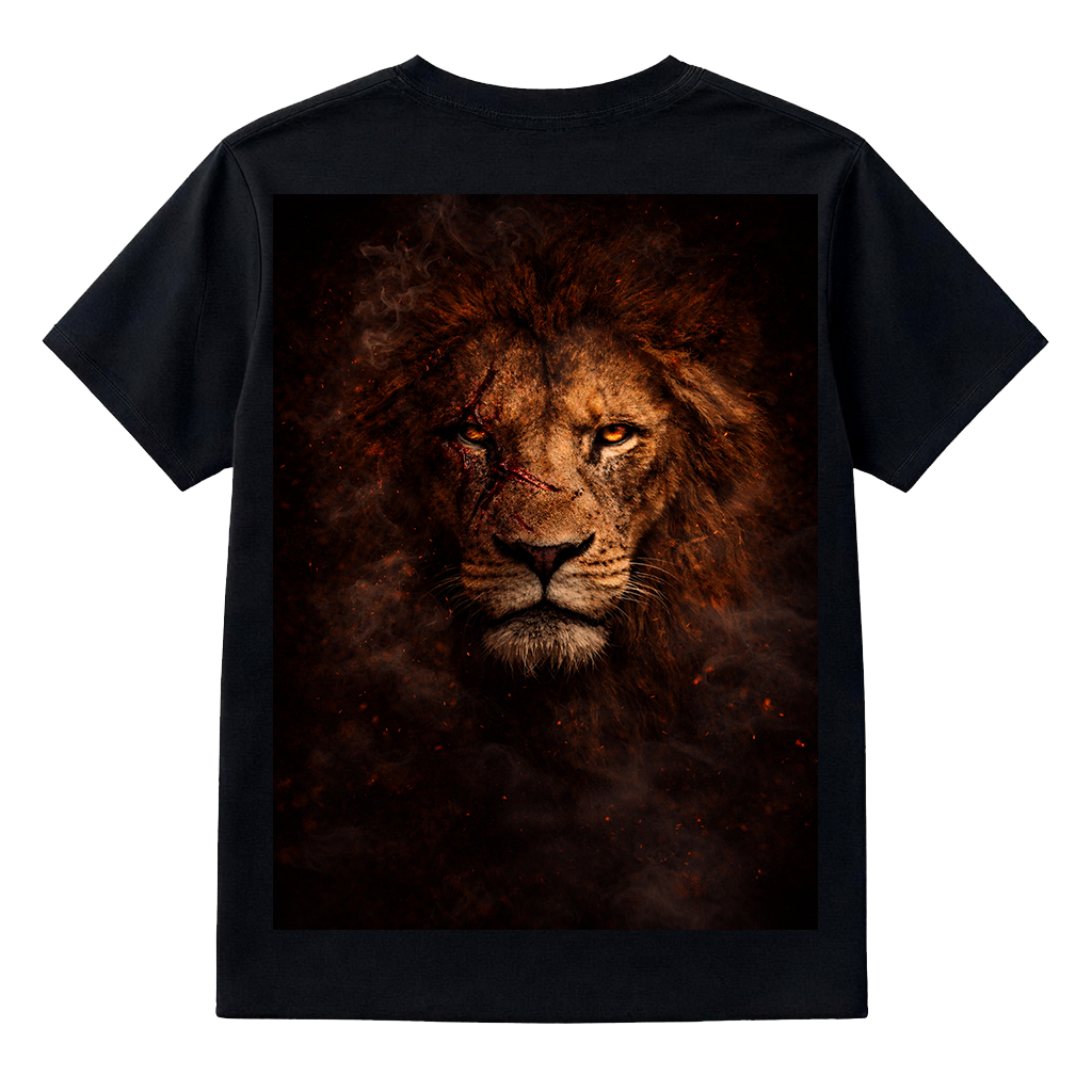 alt="Domin8NY streetwear tee and shorts bundle outfit"
